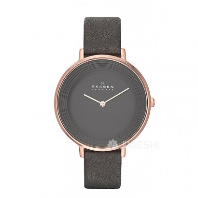 SKAGEN DENMARK ԊŮʿSKW2216 Ȿԭ