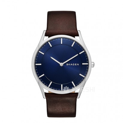 SKAGEN DENMARK ԊʯӢʿֱSKW6237 Ȿԭ