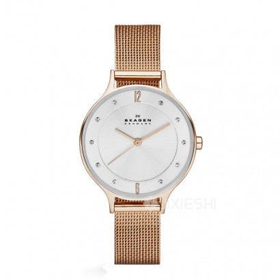 SKAGEN DENMARK ԊʯӢŮʿֱSKW2151 Ȿԭ