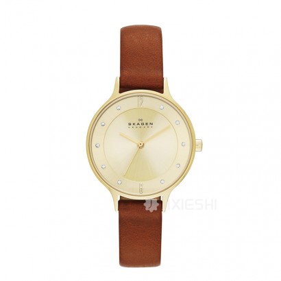 SKAGEN DENMARK ԊʯӢŮʿֱSKW2147 Ȿԭ