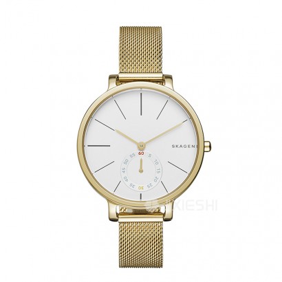 SKAGEN DENMARK ԊʯӢŮʿֱSKW2436 Ȿԭ