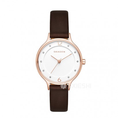 SKAGEN DENMARK ԊʯӢŮʿֱSKW2472 Ȿԭ