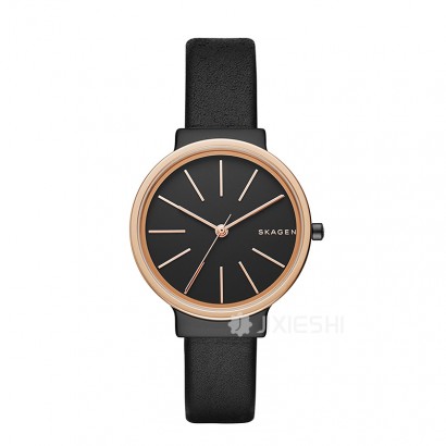 SKAGEN DENMARK ԊʯӢŮʿֱSKW2480 Ȿԭ