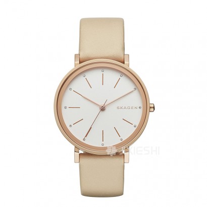 SKAGEN DENMARK ԊʯӢŮʿֱSKW2489 Ȿԭ