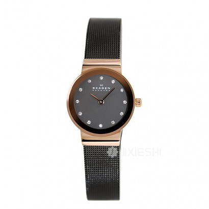 SKAGEN DENMARK ԊʯӢŮʿֱ358XSRM Ȿԭ