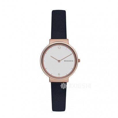 SKAGEN DENMARK Ԋ(sh)ʯӢŮʿֱSKW2608 Ȿԭ