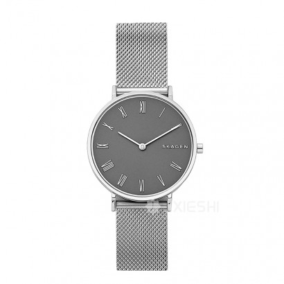 SKAGEN DENMARK Ԋ(sh)ʯӢŮʿֱSKW2677 Ȿԭ