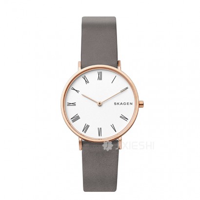 SKAGEN DENMARK ԊʯӢŮʿֱSKW2674 Ȿԭ