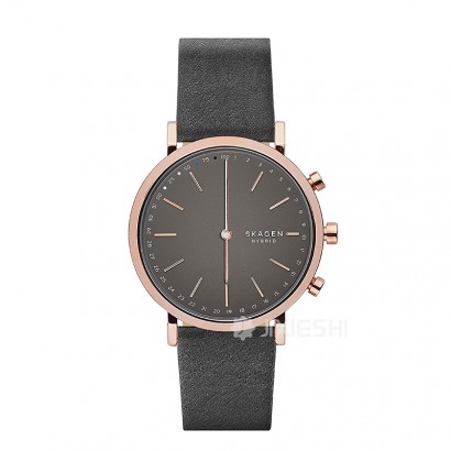 SKAGEN DENMARK Ԋ(sh)ʯӢŮʿֱSKT1207 Ȿԭ