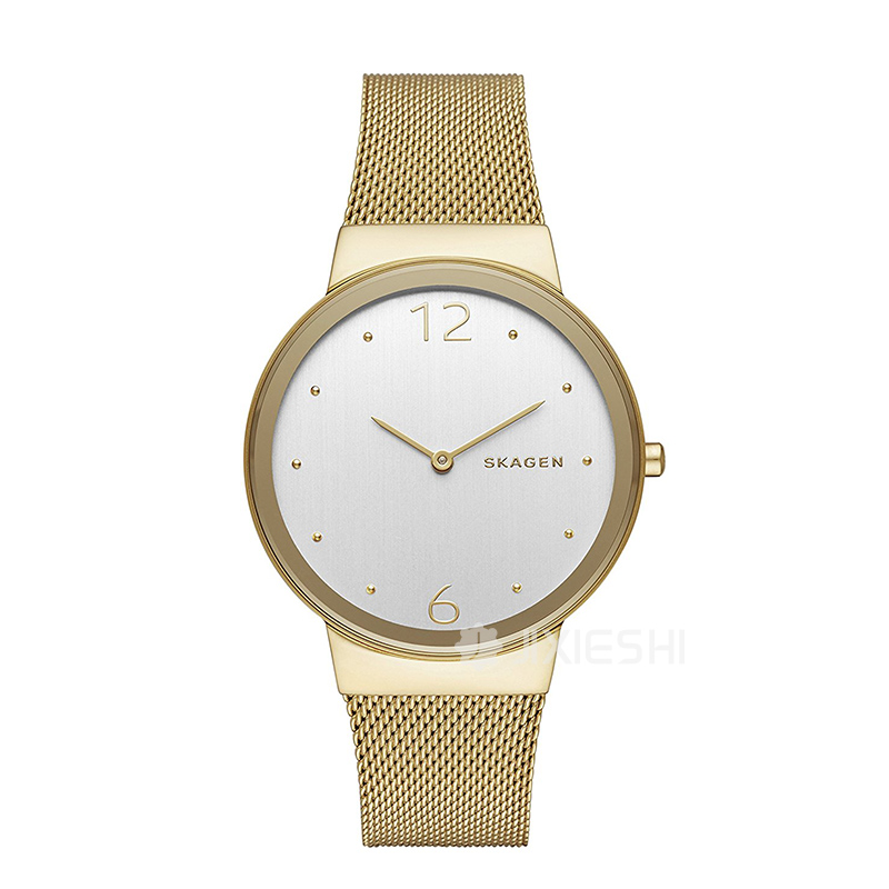 SKAGEN DENMARK Ԋ(sh)ʯӢŮʿֱSKW2519 ...