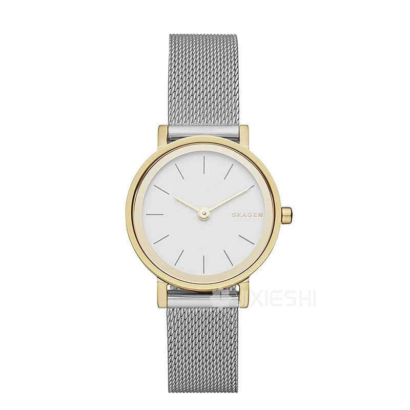 SKAGEN DENMARK ԊʯӢŮʿֱSKW2445 ...