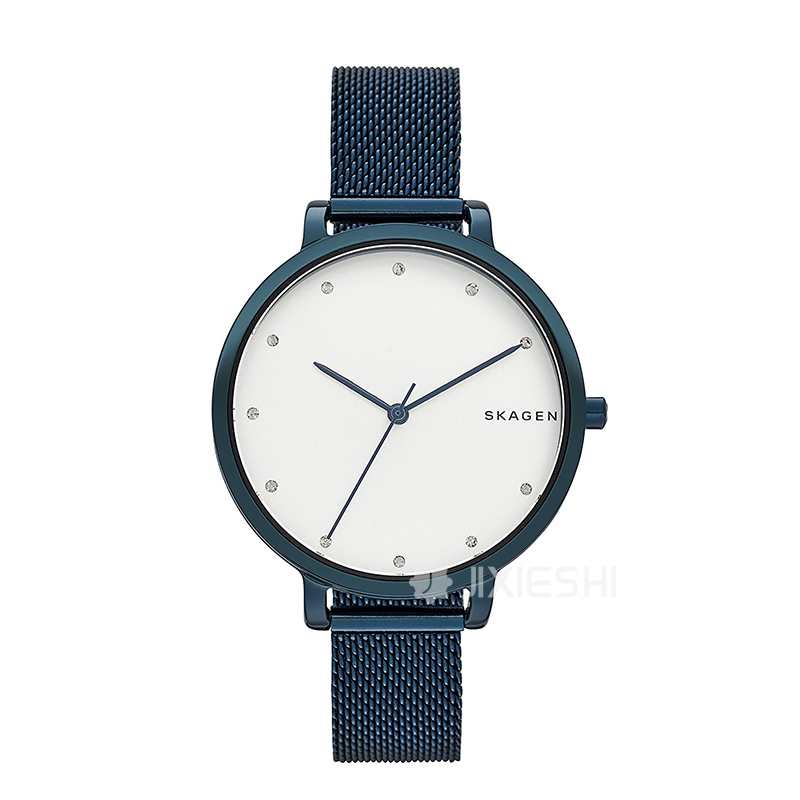 SKAGEN DENMARK ԊʯӢŮʿֱSKW2579 ...