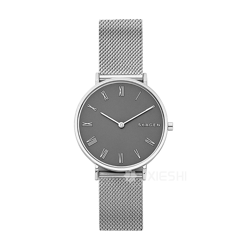 SKAGEN DENMARK Ԋ(sh)ʯӢŮʿֱSKW2677 ...