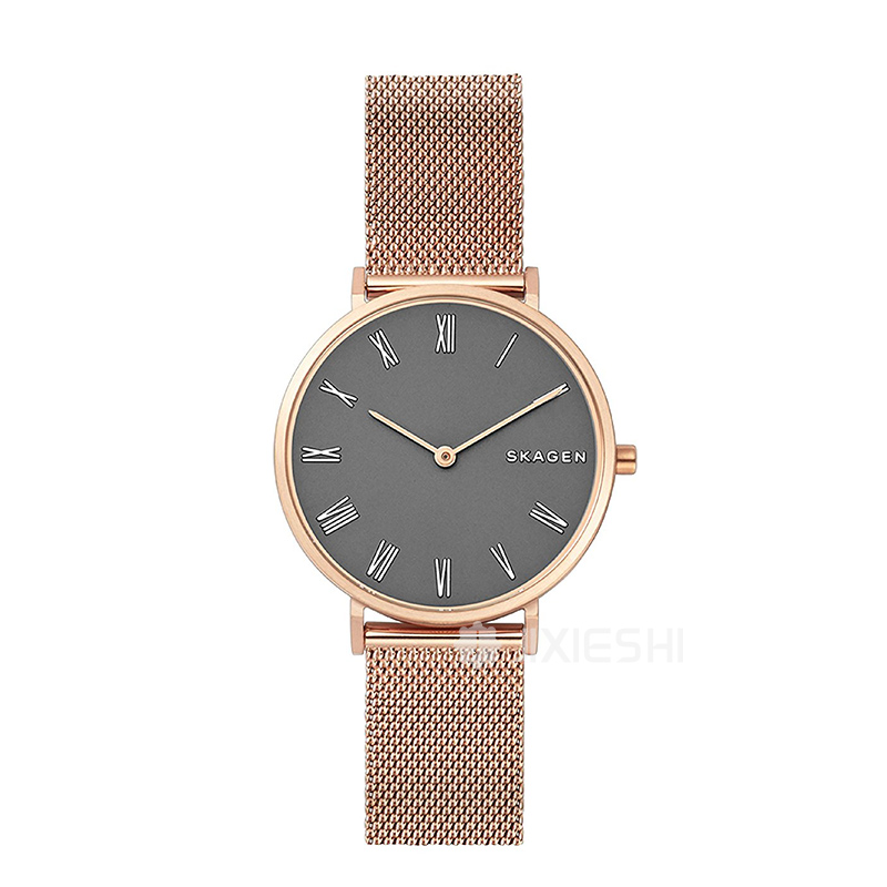 SKAGEN DENMARK Ԋ(sh)ʯӢŮʿֱSKW2675 ...