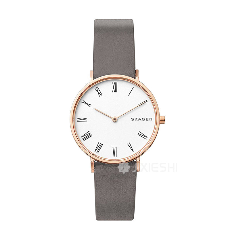 SKAGEN DENMARK Ԋ(sh)ʯӢŮʿֱSKW2674 ...