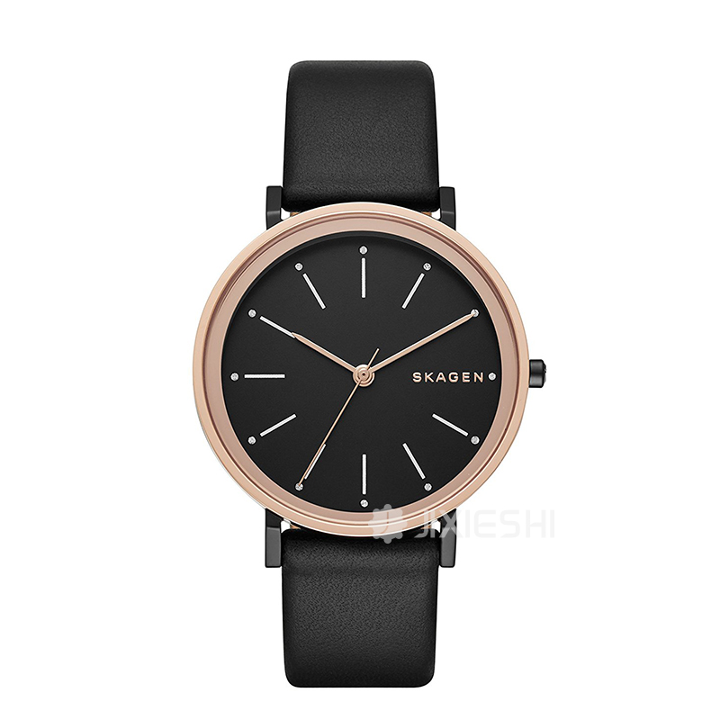 SKAGEN DENMARK Ԋ(sh)ʯӢŮʿֱSKW2490 ...