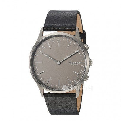 SKAGEN DENMARK ԊʯӢʿֱSKT1203 Ȿԭ