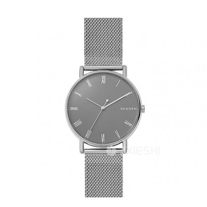 SKAGEN DENMARK ԊʯӢʿֱSKW6428 Ȿԭ