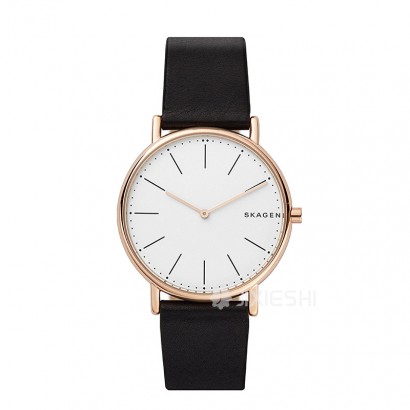 SKAGEN DENMARK ԊʯӢʿֱSKW6430 Ȿԭ