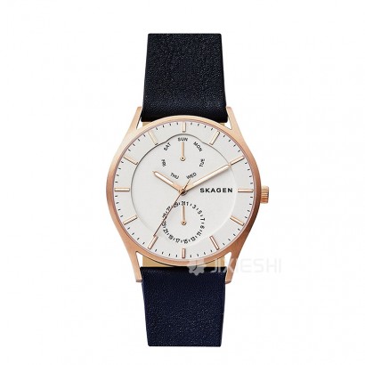 SKAGEN DENMARK Ԋ(sh)ʯӢʿֱSKW6372 ...