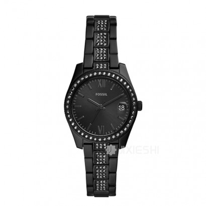 FOSSIL FOSSILŮʿʯӢES4508 Ȿԭ