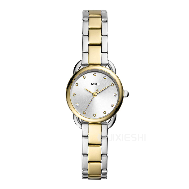 FOSSIL FOSSILŮʿʯӢES4498 Ȿԭ