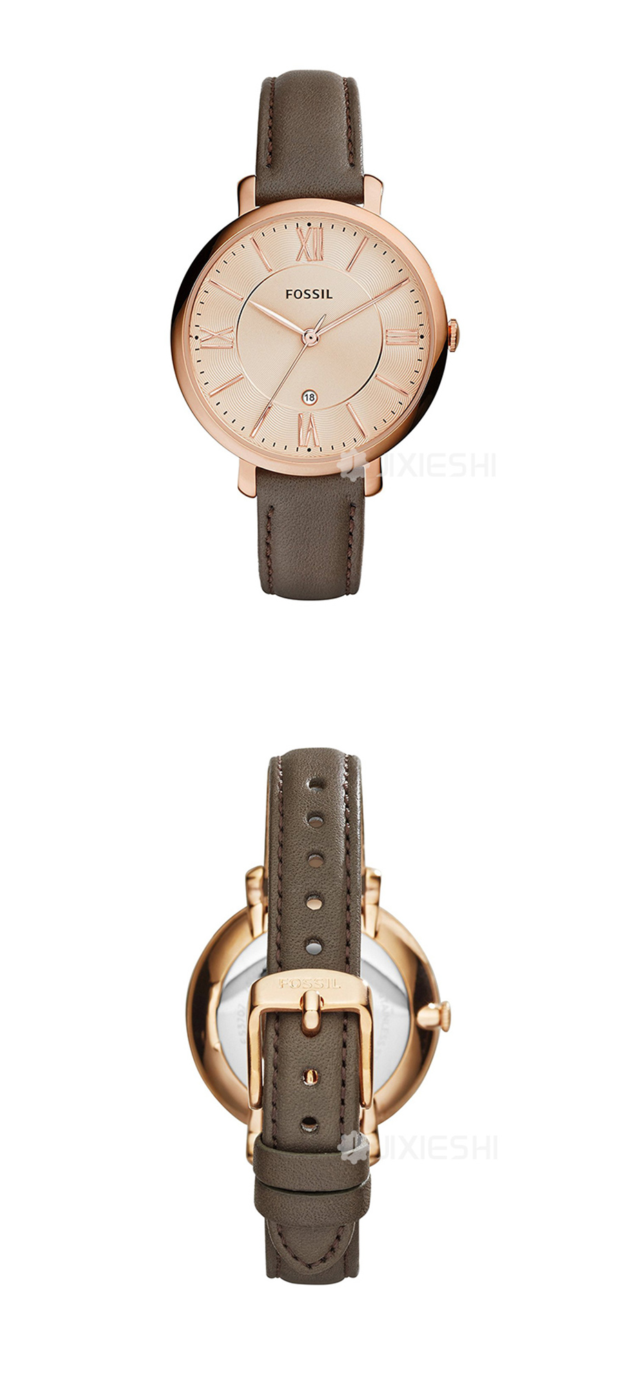 FOSSIL (gu)FOSSILŮʿʯӢES3707 Ȿԭ