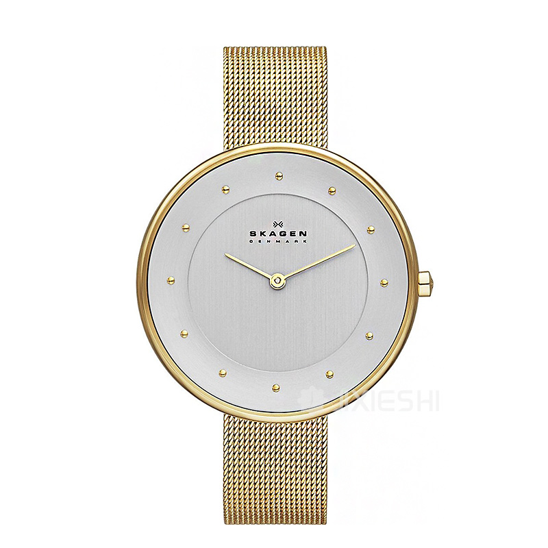 SKAGEN DENMARK ԊŮʿSKW2140/1 Ȿԭ