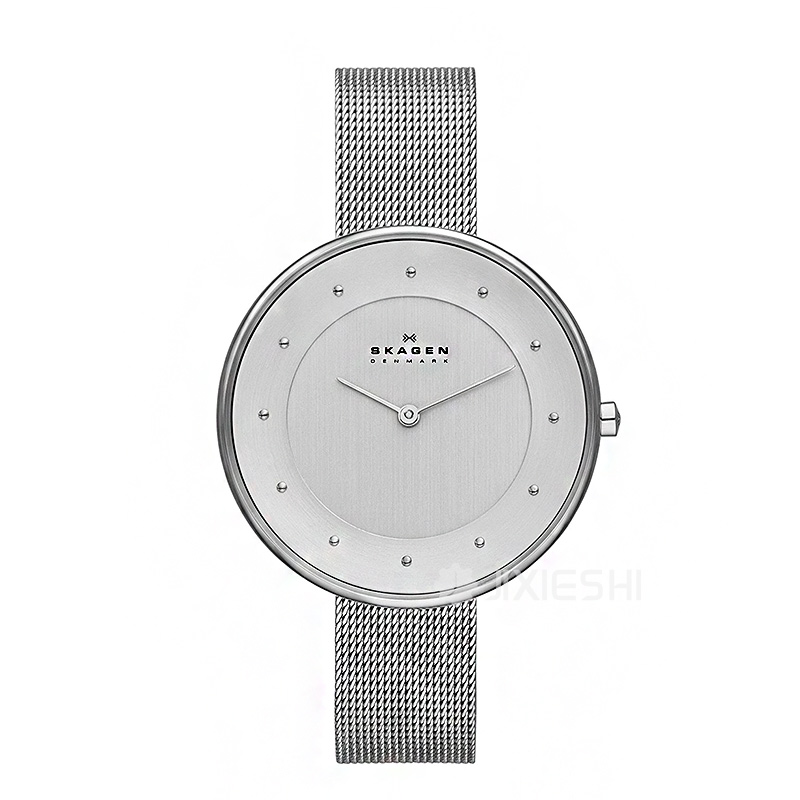 SKAGEN DENMARK ԊŮʿSKW2140/1 Ȿԭ