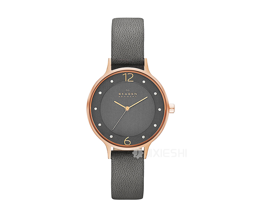 SKAGEN DENMARK ԊʯӢŮʿֱSKW2267 Ȿԭ