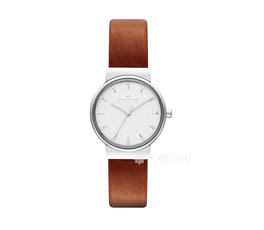 SKAGEN DENMARK ԊʯӢŮʿֱSKW2192 Ȿԭ