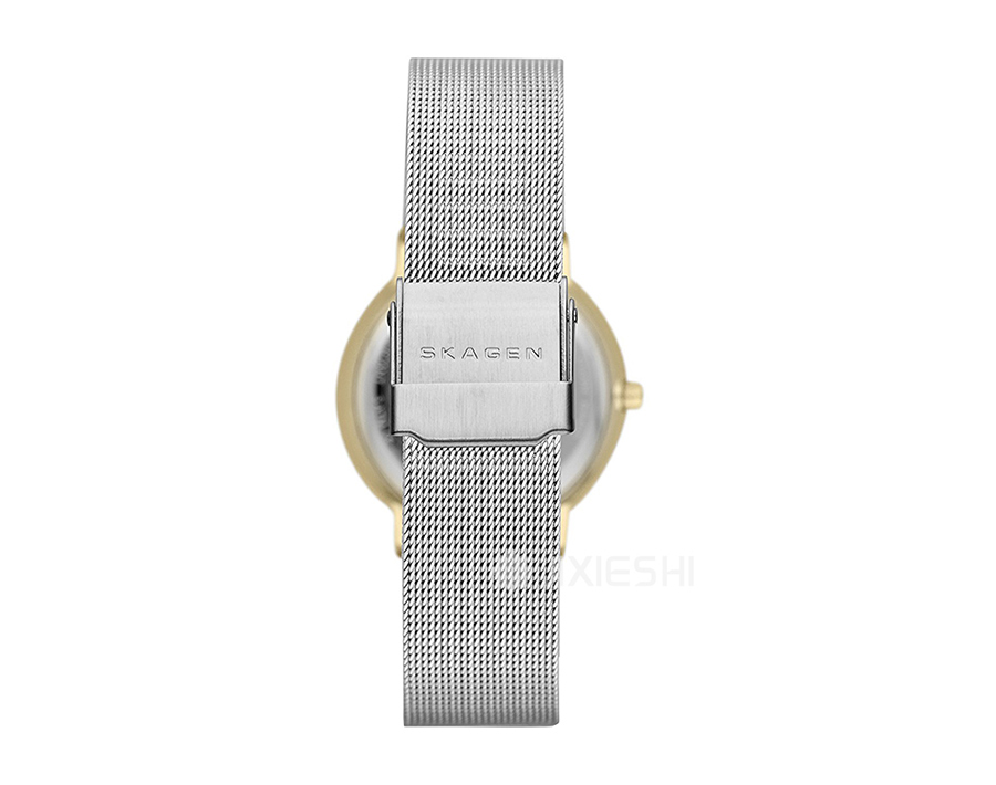 SKAGEN DENMARK Ԋ(sh)ʯӢŮʿֱSKW2076 Ȿԭ