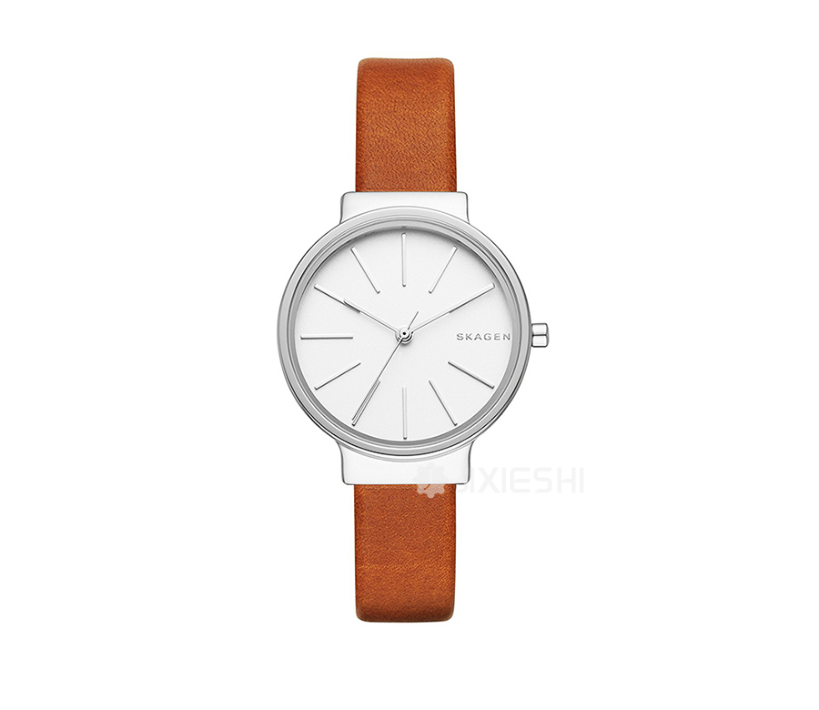 SKAGEN DENMARK ԊʯӢŮʿֱSKW2479 Ȿԭ