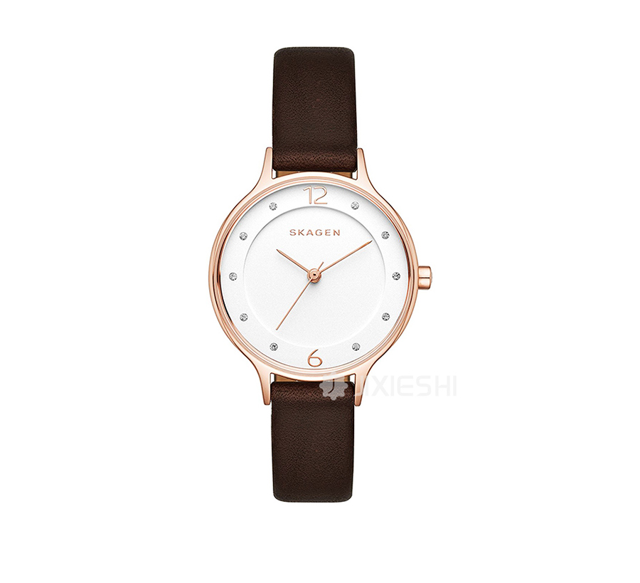 SKAGEN DENMARK ԊʯӢŮʿֱSKW2472 Ȿԭ