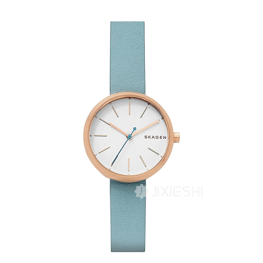 SKAGEN DENMARK ԊʯӢŮʿֱSKW2621 Ȿԭ