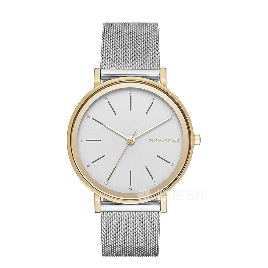 SKAGEN DENMARK ԊʯӢŮʿֱSKW2508 Ȿԭ