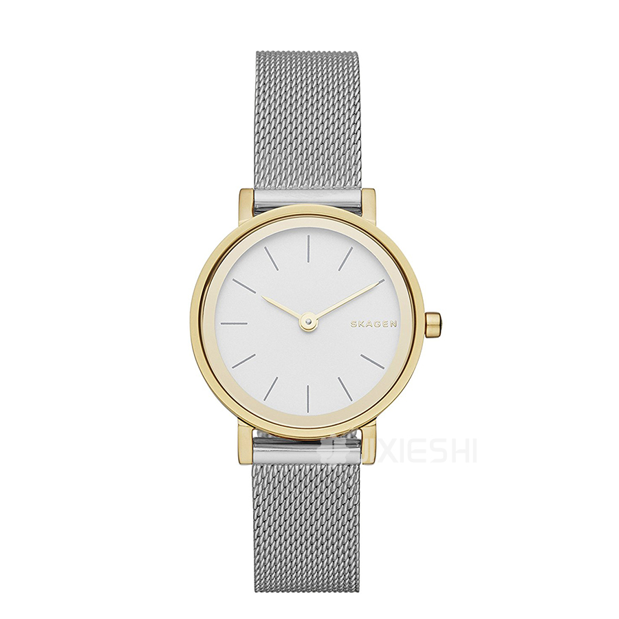 SKAGEN DENMARK ԊʯӢŮʿֱSKW2445 Ȿԭ