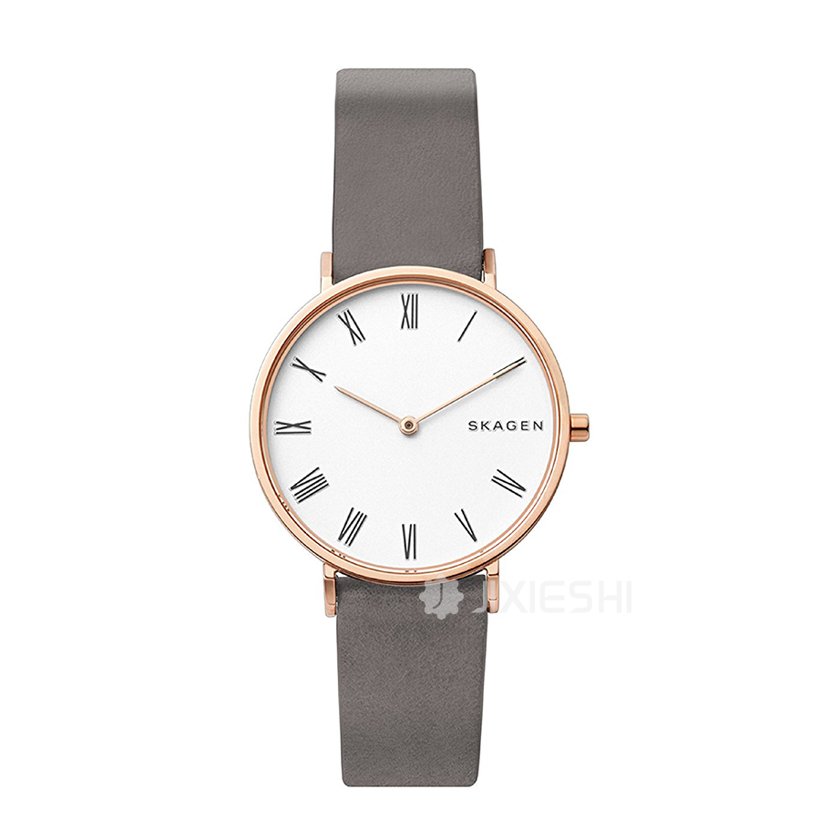 SKAGEN DENMARK ԊʯӢŮʿֱSKW2674 Ȿԭ