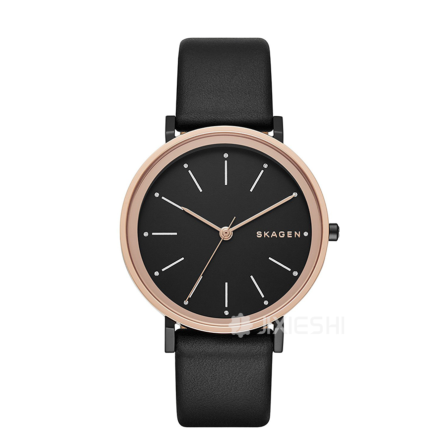 SKAGEN DENMARK ԊʯӢŮʿֱSKW2490 Ȿԭ