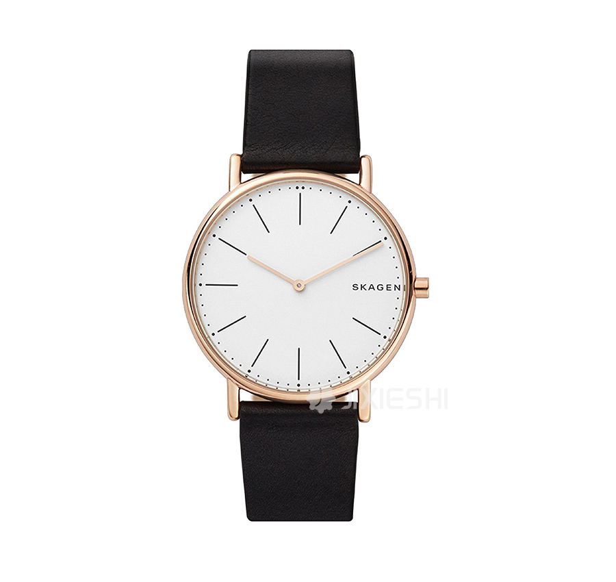 SKAGEN DENMARK ԊʯӢʿֱSKW6430 Ȿԭ