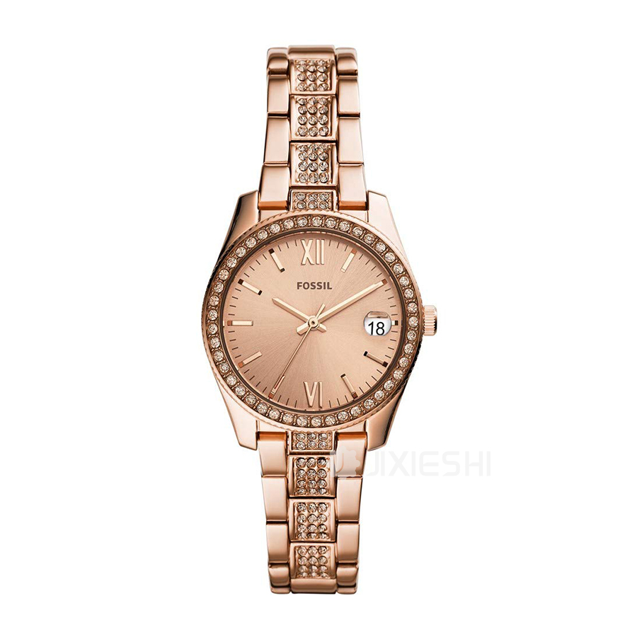 FOSSIL (gu)FOSSILŮʿʯӢES4509 Ȿԭ