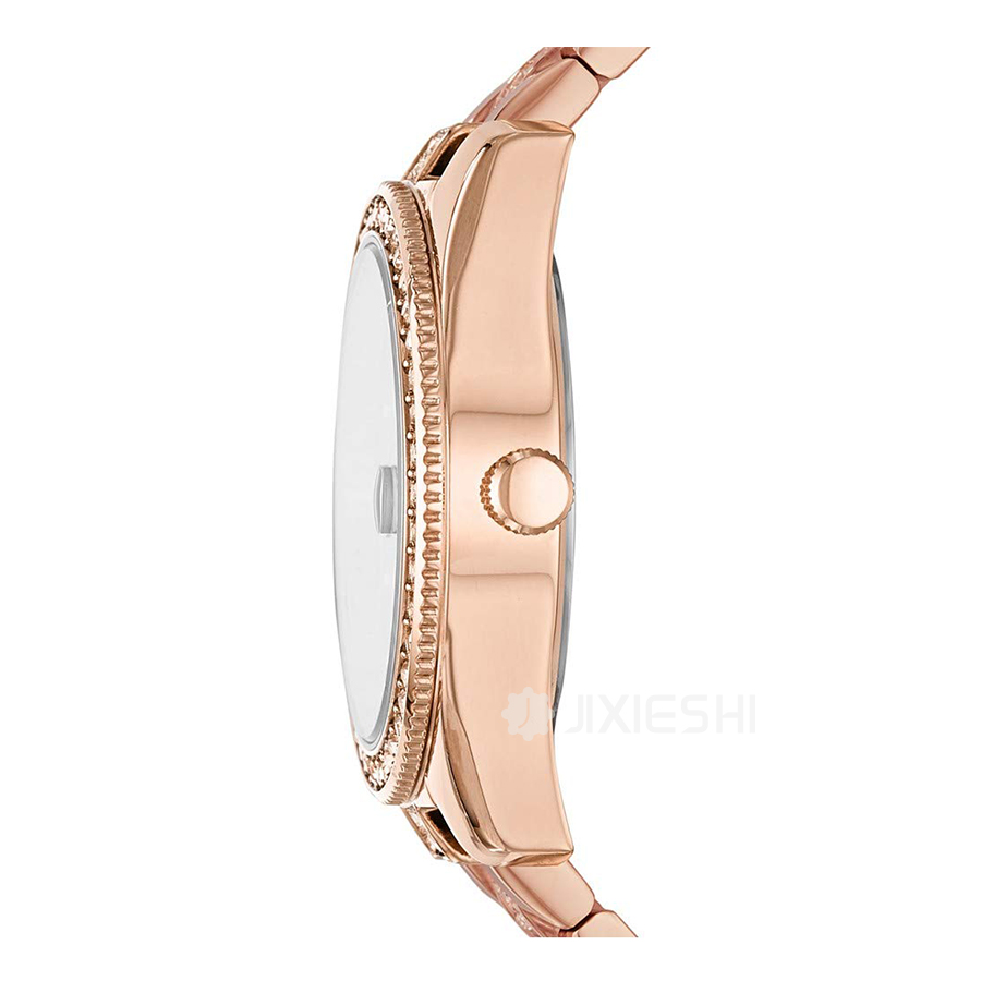 FOSSIL (gu)FOSSILŮʿʯӢES4509 Ȿԭ