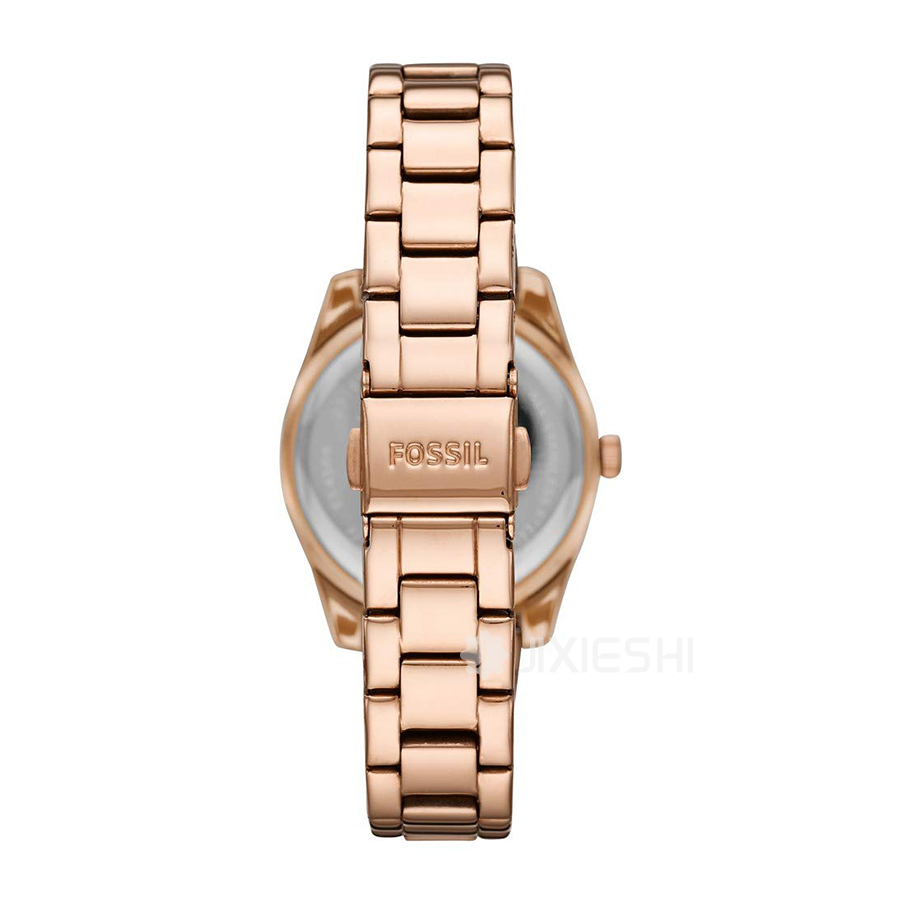 FOSSIL (gu)FOSSILŮʿʯӢES4509 Ȿԭ